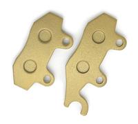 Set Pastiglie Freno Anteriore per Quadzilla Z8 4x4 2014-2015 Puzey MTD300 MX300