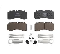 Set pastiglie freno, freno a disco ROULUNDS 55026881PRO