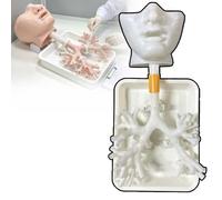 Set Per Broncoscopia A Fibre Ottiche, Modello Didattico Per Broncoscopia | Modello Di Laringe E Trachea Umana Con Ramificazioni Fino Al 5° Livello, Per Facoltà Di Medicina, Formazione(White)