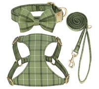 Set per Cagnolini Collare e Pettorina Morbida Imbottita con Fiocco + Guinzaglio