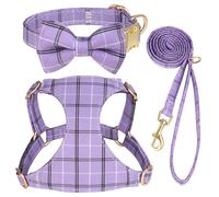 Set per Cagnolini Collare e Pettorina Morbida Imbottita con Fiocco + Guinzaglio