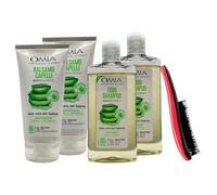 SET PER CAPELLI NORMALI, ALOE VERA DEL SALENTO: Fisio Shampoo Idratante 200ml + Balsamo Idratante 180ml + Spazzola Per Capelli, Con Impugnatura Ergonomica (2xSH+2xBL+Spazzola)