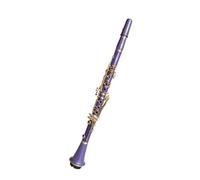 Set Per Clarinetto Clarinetto ABS lucido viola a 17 tasti in Si per principianti per sostenere gli esami