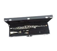Set Per Clarinetto Clarinetto in Sib basso placcato in argento con strumento in bachelite con custodia