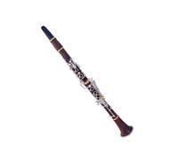 Set Per Clarinetto Clarinetto professionale in legno a 17 tasti in palissandro bB placcato oro