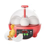 Set Per Schiusa Di Ovuli Di Gallina - Lampada Per Analisi Di Volatili A Sei Fori, Visualizzazione Trasparente Dello Sviluppo 'embrione, Di Svezzamento Autoregolante Del Calore, Dispositivo