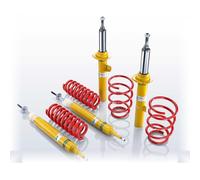 Set per Veicoli Molle Ammortizzatore Anteriore 900 KG Posteriore 1.070 KG EIBACH