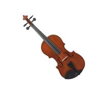 Set per violino 1/4 strumento a corde accessori professionali(Type 1)
