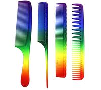Set pettine Capelli Arcobaleno Messa in piega Salone Barbiere Capelli Taglio Spazzola Districante Ratto Coda Pettine 4 Confezione Parrucchiere Capelli Quotidiano Cura Accessorio I regali