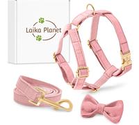Set Pettorina Guinzaglio E Fiocco per Cane Taglia Piccola Velluto Forma H Rosa