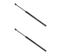 Set Pistoni Cofano Gas STABILUS 100 N 202 mm 514 mm Per KIA EV3 2x