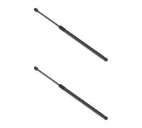 Set Pistoni Gas Heckscheibe STABILUS 295 mm 520 N Corsa 90 mm Per BMW 5er