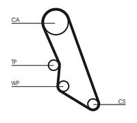 CONTITECH CT865WP1 Kit cinghia distribuzione, pompa acqua