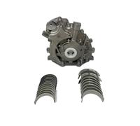 Set Pompa Olio & King Biella CR223SV Std Cuscinetti Per A TDV6 2.7 3.0D V6