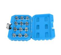 Set Principale di Punte Multi-ribe per Rimuovere i Dadi delle Ruote di Bloccaggio, Kit di Punte Scanalate in Acciaio Legato con 12 Pezzi B51-B62, Comoda Confezione della Cassetta