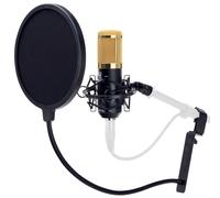 Set Professionale Microfono Studio Condensatore Registrazione Filtro Antivento