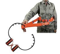 Set professionale per arrampicata su alberi con ramponi e imbracatura, attrezzatura per la raccolta di frutta e noci di cocco, attrezzatura da arrampicata con fibbia ad artiglio affilata (250 mm/9,8
