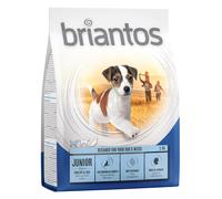 Set prova misto! 2 x 1 kg Briantos Crocchette senza cereali per cani - 1 kg Adult Mini Agnello & Riso + 1 kg Adult Mini Salmone & Patate