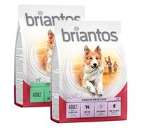 Set prova misto! 2 x 1 kg Briantos Crocchette senza cereali per cani - 1 kg Agnello & Riso + 1 kg Salmone & Riso