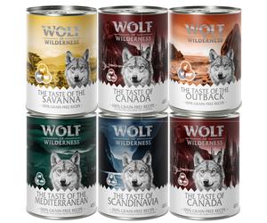 Set prova misto! Wolf of Wilderness umido per cane - 6 x 400 g Taste Of Canada / Scandinavia / Mediterranean / Outback / Savanna