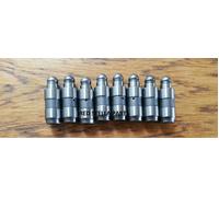 Set Punterie Idrauliche 8 Pezzi Per Audi A4 A6 A8 3.2 FSI 3123 cc