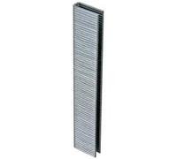 CONF. 1000 GRAFFE 16X12,9
