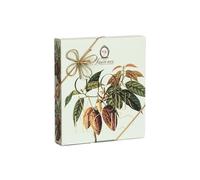 Set regalo cioccolato Laurence Choco Master Pieces, 3 x 80 g