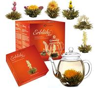 Set regalo di fiori di tè con teiera di vetro da 500 ml e tè bianco 6x - regalo per Natale 1 set regalo 7 pezzi (confezione da 1)