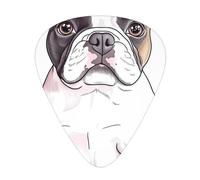 Set regalo di plettri Boston Terrier bianchi e neri - Plettri lisci e durevoli per chitarra acustica, elettrica e basso, regalo perfetto per gli amanti della chitarra e i musicisti