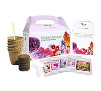 Set regalo floreale Magic - 5 Continent Box - un'idea regalo originale per praticamente ogni occasione