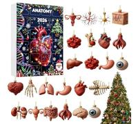 Set regalo per alla rovescia di Natale di 24 giorni di anatomia 2026 | Il set comprende scheletro umano, cuore, cervello e altri modelli di classici