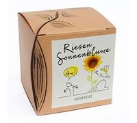 Set regalo per la coltivazione di girasole gigante