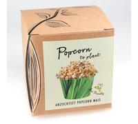 Set regalo per la coltivazione di popcorn mais