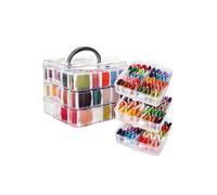 Set Ricamo Completo con 3 Livelli, 150 Fili, Aghi e Organizer in Plastica
