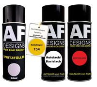 Set riempitivo a spruzzo per RollsRoyce T54 Bijan Yellow vernice...