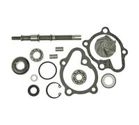 Vparts Fs-135 Water Pump Rebuild Kit Argento