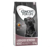 Set risparmio! 2 x Concept for Life Crocchette per cani - 2 x 12 kg Labrador Retriever Adult