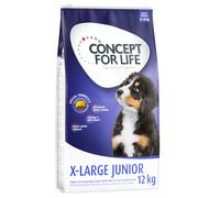 Set risparmio! 2 x Concept for Life Crocchette per cani - 2 x 12 kg X-Large Junior