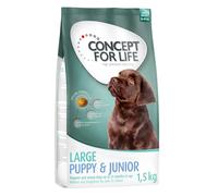 Set risparmio! 2 x Concept for Life Crocchette per cani - 2 x 3 kg Large Junior
