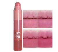 Set Rossetti Opachi - Rossetto 4 Colori, Combinazione Multicolore Opaco 4 In 1 Trucco Labbra | Set Per Il Trucco Del Rossetto Con Design A Strati, Impermeabile, Regalo Per Le Donne Della Famiglia Madr