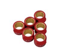 Set rulli variatore 16x13mm 4g -7g Adatto for motociclette 50 50cc(16x13mm 4.5g)