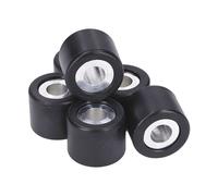Piaggio Set rulli variatore CM1102025 19x15,5 mm 6,0 g 6 pezzi