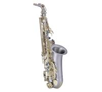 Set Sassofono Con Sassofono Contralto In Mi Bemolle Per Principianti Di Strumenti A Fiato, Esame Di Valutazione E Performance Professionale