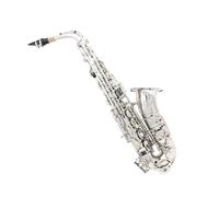 Set sassofono contralto in Mib strumento a fiato in legno chiave argentata Mi bemolle inclusa borsa portatile bocchino spazzola per la pulizia Kit Sassofono