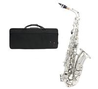 Set sassofono contralto in Mib strumento a fiato in Mib chiavi in argento con custodia per il trasporto spazzola per la pulizia del bocchino Kit Sassofono