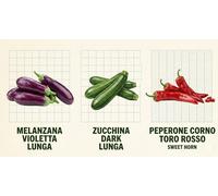 Set Semi Orto: Melanzana Violetta Lunga, Zucchina Verde e Peperone Corno di Toro Rosso | 3 Bustine da 6g | Semi Ortaggi per Orto, Giardino e Balcone | Alta Germinazione