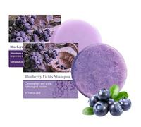 Set shampoo e balsamo solido al mirtillo, con estratto di mirtillo, burro di karité, olio di arancia, sapone per ridurre la rottura dei capelli, per capelli diradati e crespi (Set)