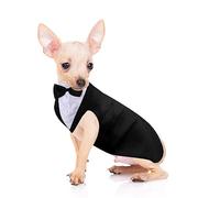 Set smoking e bandana per cani, smoking formale in PET, per feste di nozze, con papillon, camicia per matrimoni, Natale, compleanni (stile carino, S)