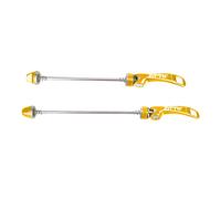 Set Spiedini - Sostituzione Set Spiedini Asse QR per Bici Da Strada Anteriore E