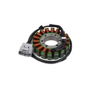 Set Statore E Rotore Per Motore Magnetico Compatibile Con Totor 800MT(2) | Adatto per CF800MT e CF800-5; Include gruppo statore e gruppo rotore
